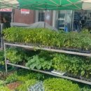 금산농약사 이미지