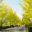 공주교도소부속의원 이미지