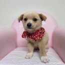 웅남동225 이미지