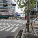 로로동물병원 이미지