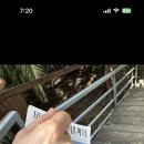 제주현대미술관 | &lt;모네에서 앤디워홀까지&gt; 제주현대미술관 전시 솔직 후기, 카페, 할인, 입장료, 모네는 어디에, 제주여행