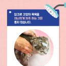 디아나동물병원 이미지