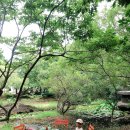 돌하르방미술관 이미지