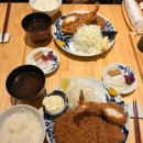 Lion GYM | < 일본 도쿄 여행/도쿄역/긴자 *꿀팁 보유* 돈카츠 스즈키 도쿄베이프 골드짐 스투시 꼼데가르송 팡메종...