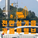 천안성거읍 핏자맛집 애견동반카페~ 투웰브