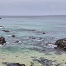 청운당구장 | 묵호 혼자여행 숙소 추천｜동해 오션시티레지던스 호텔 + 더좋은수산 회배달