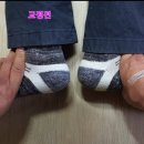 한국척추관절학교