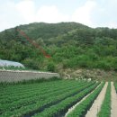 여주-1133 네이버블로그