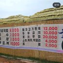 그늘막55 | 231007 안성바우덕이 축제방문 후기