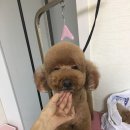 루이앤코코 이미지
