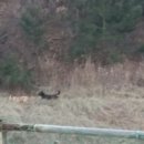 우리집토종닭 이미지