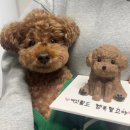 202펫푸드 | 202펫푸드 후기/마산강아지케이크/창원강아지케이크/마산고양이케이크/창원고양이케이크/마산강아지생일...