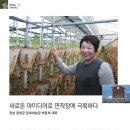 신라원예