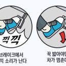 바른카센타 이미지