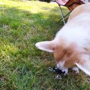 은별농장 이미지