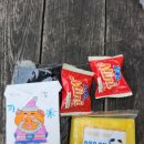 송도초등학교 이미지