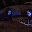 최신영화 자산어보 상영 | 영화 프로젝트 Y 쿠키 결말 스포 후기 정보 최신 개봉 한국 범죄 느와르 리뷰