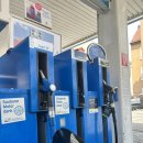 하이델베르그 | 엄마랑 독일 7일차 (3) : 내돈내산 슈파이어&amp;하이델베르크 투어(슈파이어 대성당) 후기