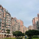 세일화원 이미지