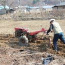 경북농약종묘사 이미지