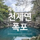 서귀포 천제연 관개수로 | 제주도 3대폭포 : 천제연폭포 (주차, 관람료, 소요시간)