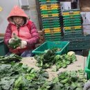 신안농장 이미지