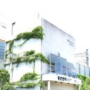 희망의 나무 休 | 인천 송현동/ 인천중앙시장 · 미림극장 · 수문통로 · 수도국산