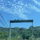 숲속애애플트리 이미지