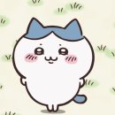 루시코인노래연습장 이미지