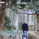 딤손