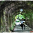 능동공원 이미지