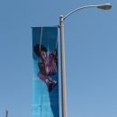 비치아트페스티벌 이미지