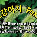 강아지오요요 이미지