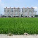 배산로 24길 이미지