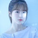 김누리 카카오 검색결과