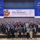 한국베링거인겔하임동물약품(주) 이미지