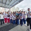 한국체대 금빛태권도장 이미지