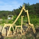 계곡사슴팬션 이미지