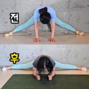 고려대 명문 태권도 | 가장 효과적인 다리찢기 연습 방법(다리 찢기 실제 후기)