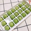 강릉애견하우스 이미지