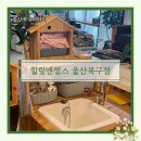 힐링엔젤스울산