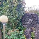 물댄동산 통나무펜션 이미지