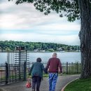 느리게 걷기 이미지