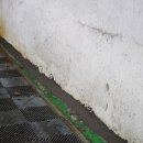 도체오타워 이미지