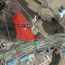 인삼공인중개사사무소 이미지