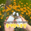 [홍대 연남] 서울향수공방 데이트 추천 나만의 향을 만들기 후기