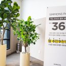 P-5319 | 신혼집인테리어 침대추천 - 시몬스 맨션 오산점