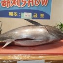 외길수산 이미지