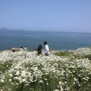 부안변산마실길 이미지
