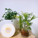 Eaujar | Eco Brighty Maintenance, 식물살충제 150ml 사용후기